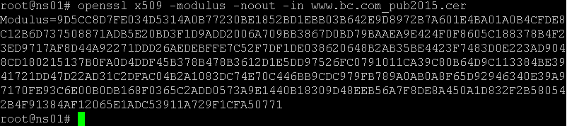 NetScaler modulus output